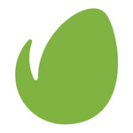 Envato